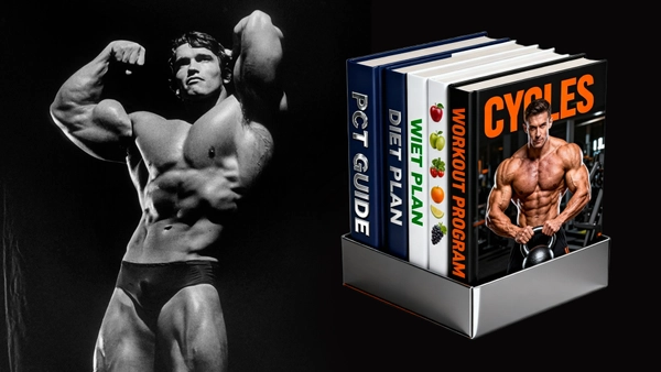 The Ultimate Cycles & Bodybuilding Guide